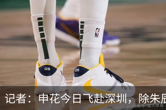记者：申花今日飞赴深圳，除朱辰杰盖伊等伤员外几乎全员出征
